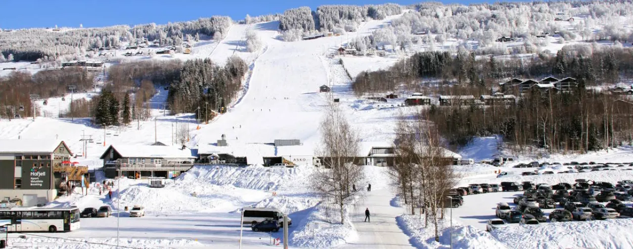 World cup Hafjell